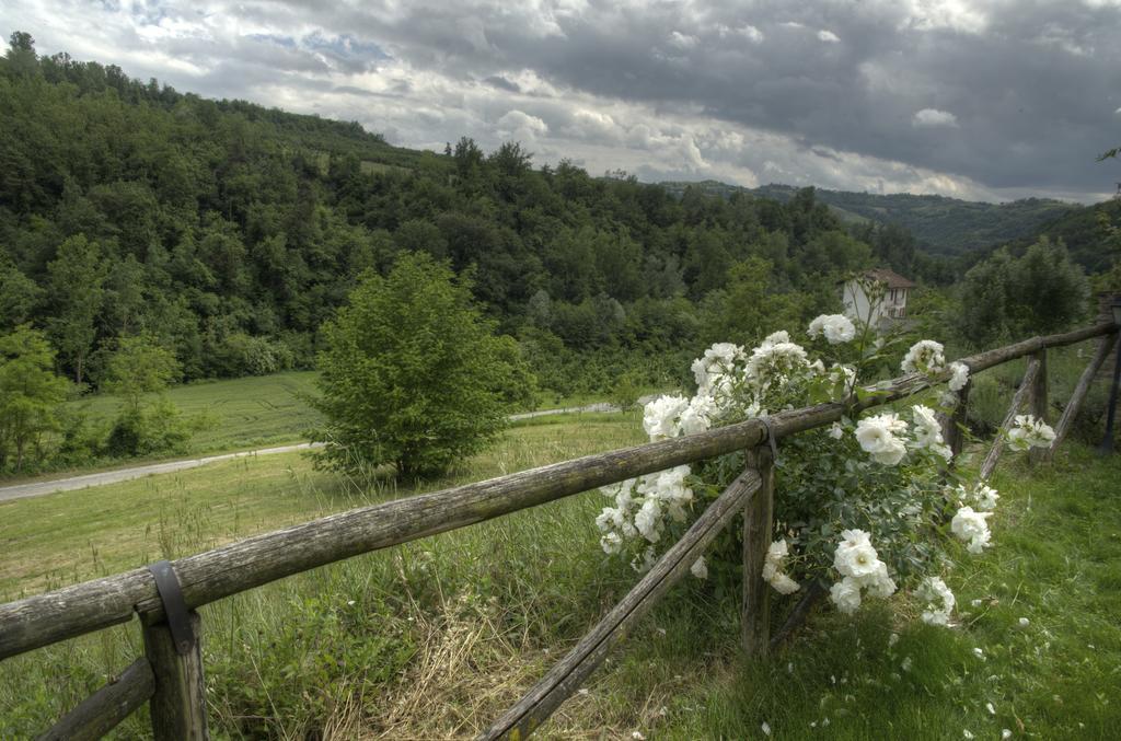B&B Il Sole Delle Rive Sinio Bagian luar foto